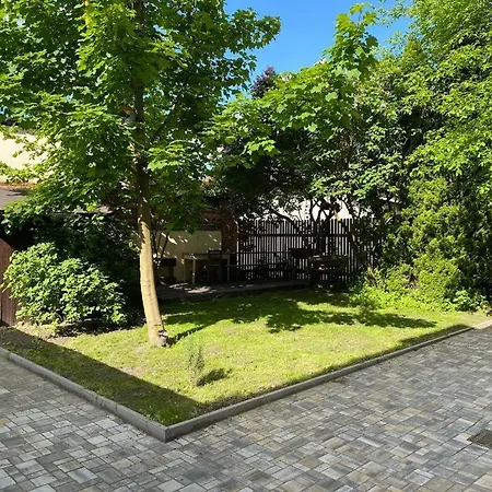 černý Tulipán - 2 * Plzeň