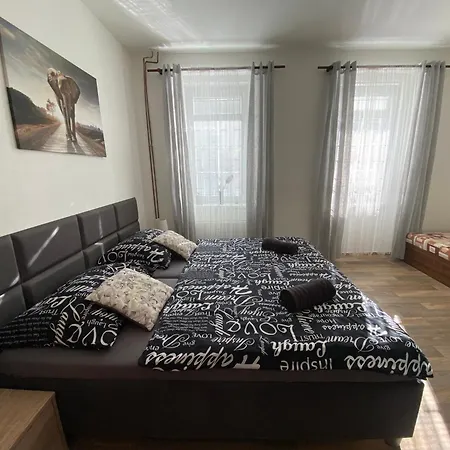 černý Tulipán - 2 * Plzeň