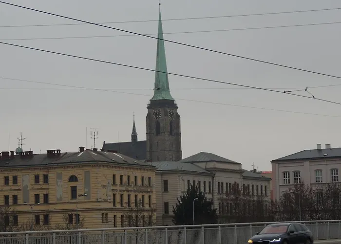 černý Tulipán - 2 * Plzeň
