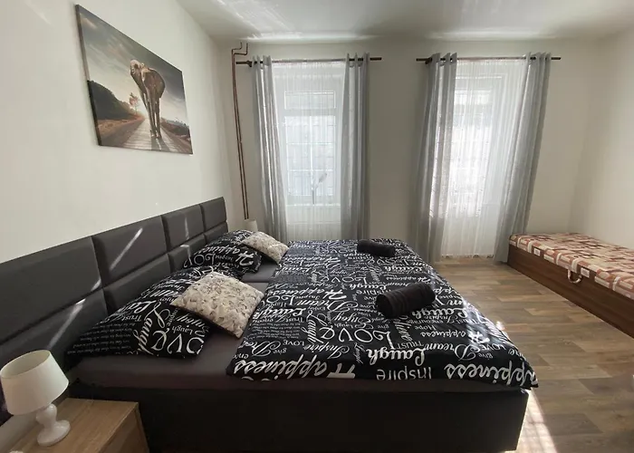 černý Tulipán - 2 * Plzeň