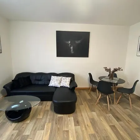 černý Tulipán #2 * Plzeň