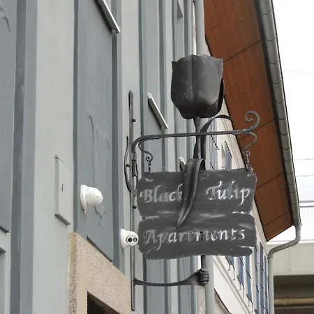 černý Tulipán #2 Plzeň