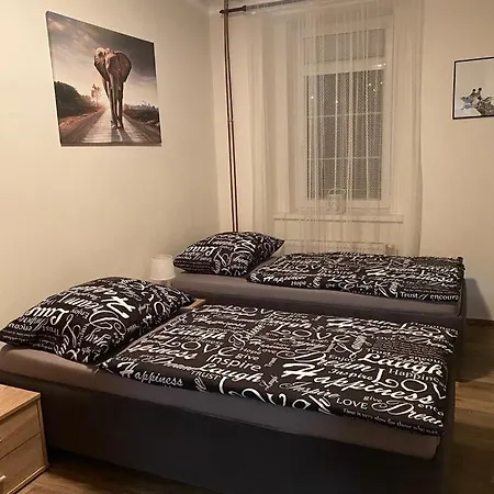 Cerny Tulipan - 2 *