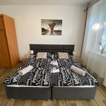 černý Tulipán #2 Apartamento Plzeň