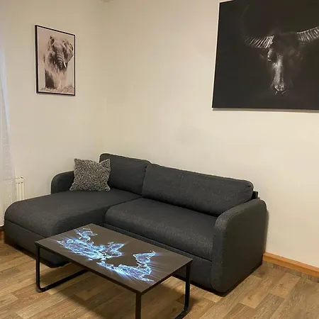 černý Tulipán #2 Plzeň