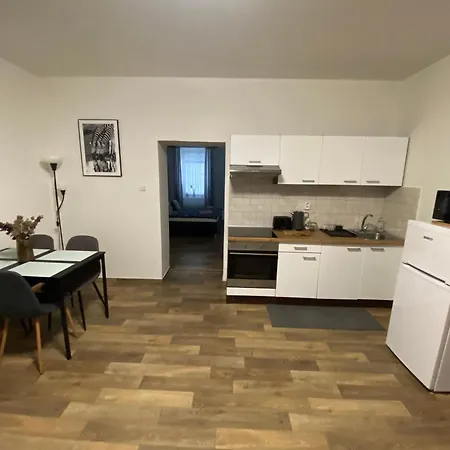 Apartamento černý Tulipán #2