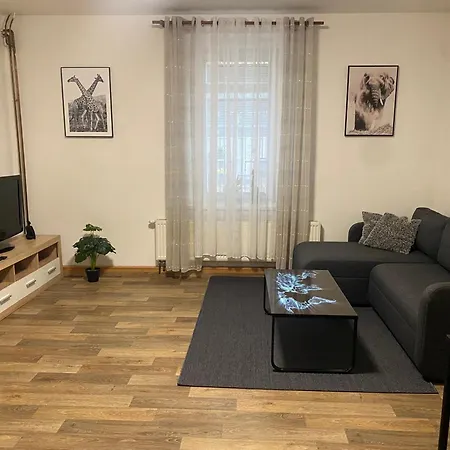 černý Tulipán #2 Plzeň