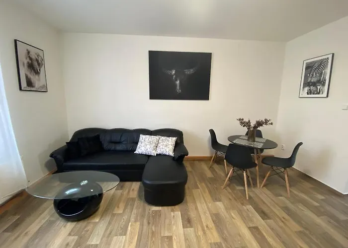 černý Tulipán - 2 * Plzeň