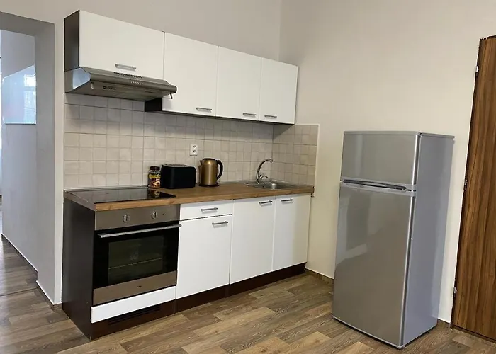 Apartmán černý Tulipán - 2 Plzeň