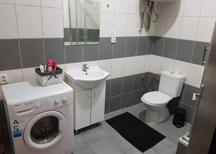 Apartmán černý Tulipán - 2 *