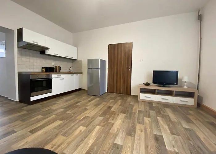 černý Tulipán - 2 Apartmán Plzeň