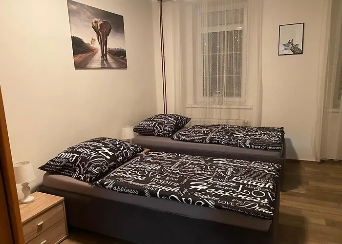 černý Tulipán - 2 *