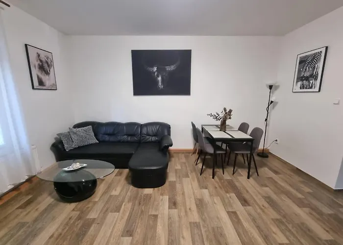 Apartmán černý Tulipán - 2 *