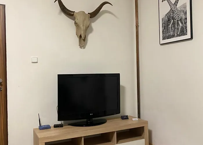Apartmán černý Tulipán - 2 *