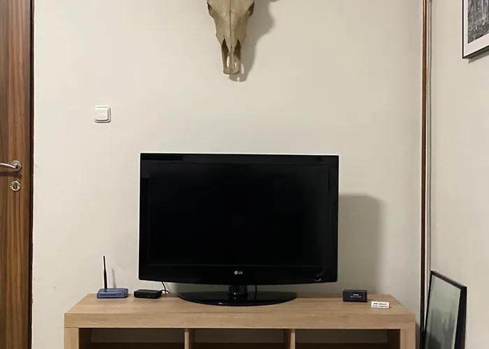 Apartmán černý Tulipán - 2 Plzeň