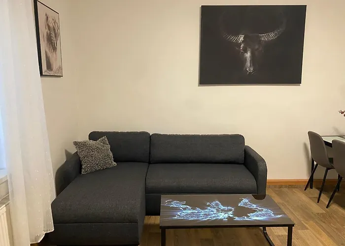 Apartmán černý Tulipán - 2 Plzeň