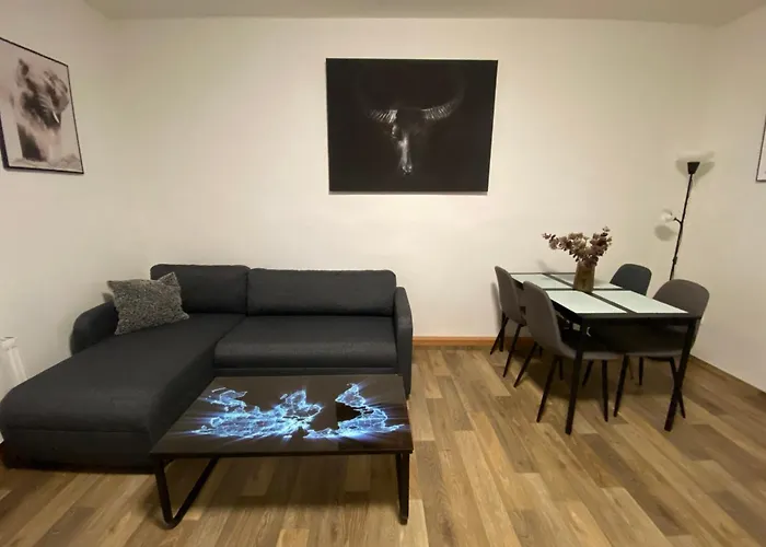 černý Tulipán - 2 * Plzeň