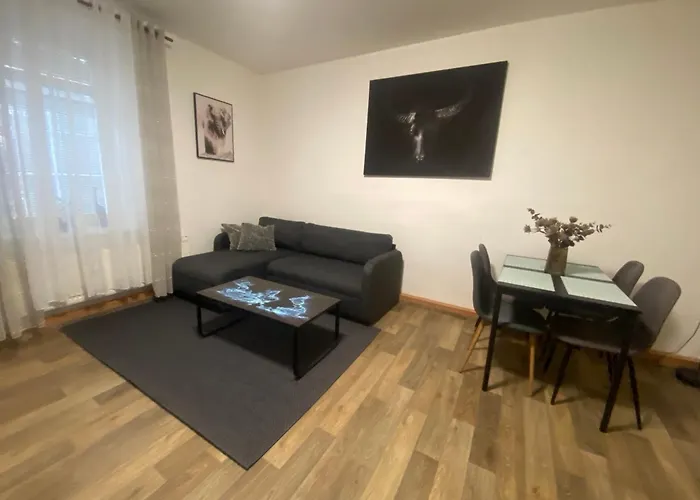 černý Tulipán - 2 Plzeň