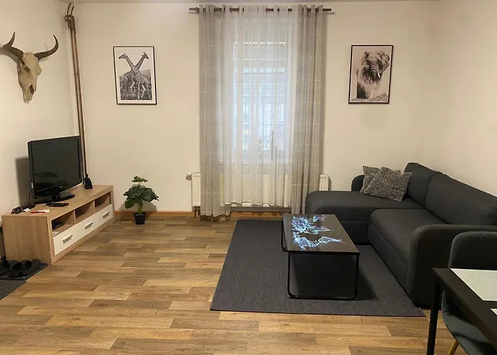 černý Tulipán - 2 Plzeň